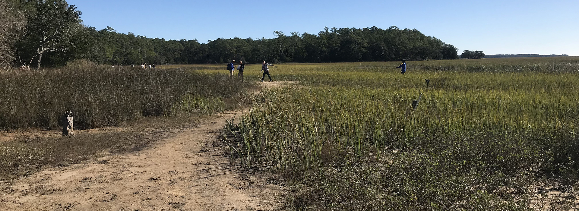 Participants stroll through the salt marsh
