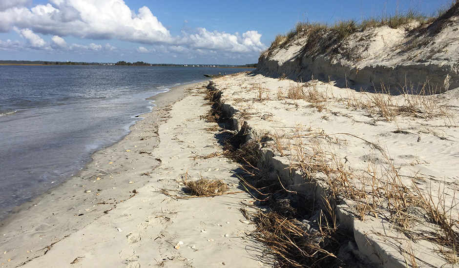 erosion hobcaw beach