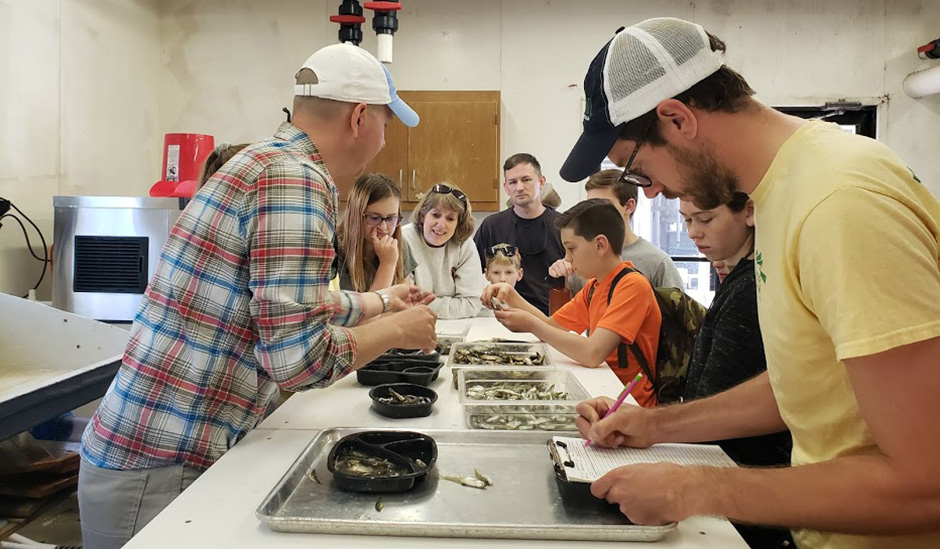 Picture of people sorting fish as a part of the Life of a NERRd program