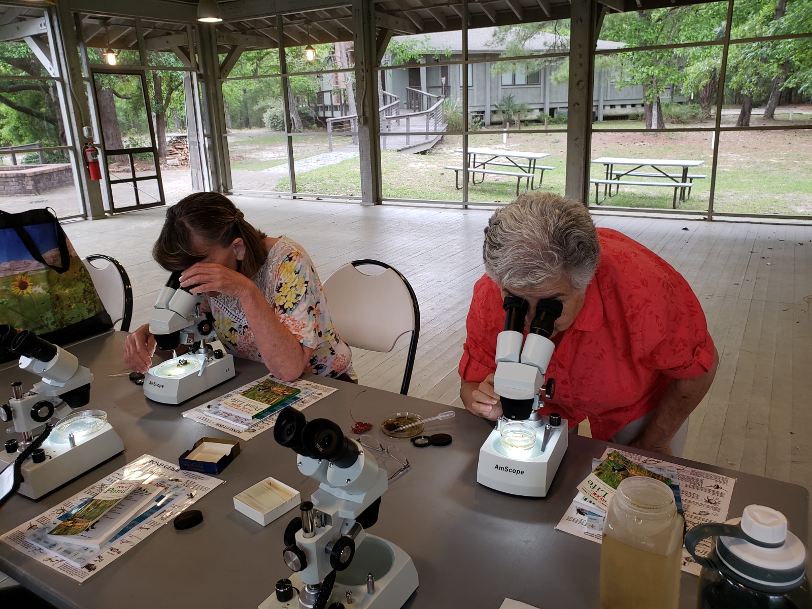 Particpants in the picnic at the pond program