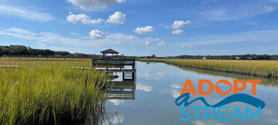 Adopt a stream site on Pawleys Island