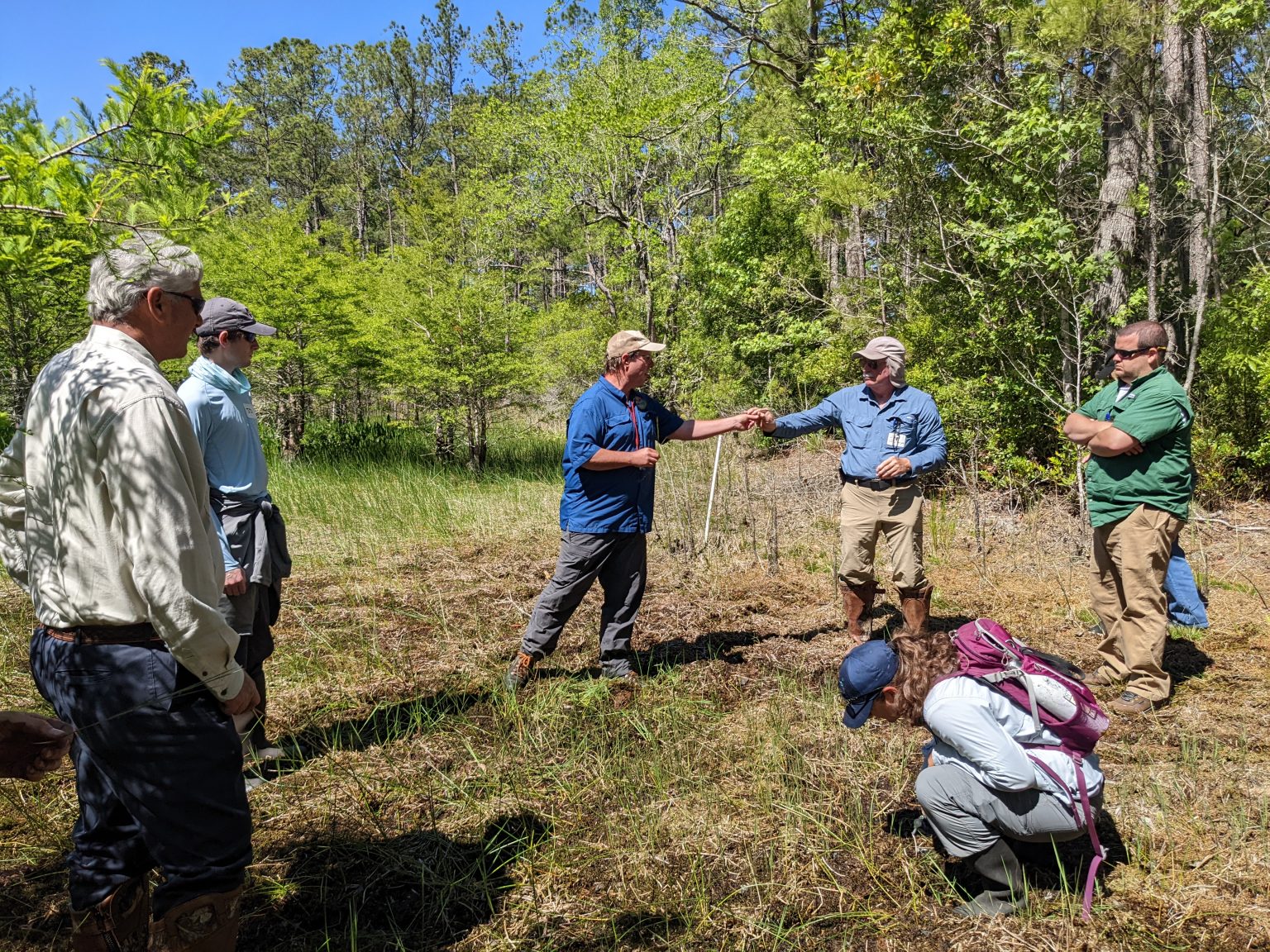 Freshwater Wetland Identification Basics – North Inlet-Winyah Bay