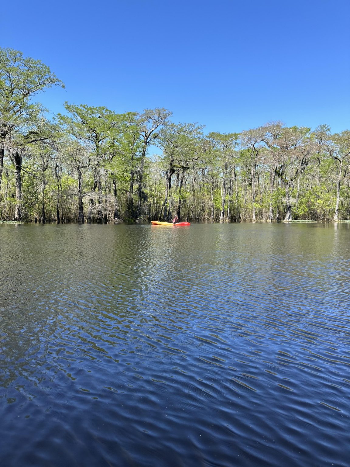 Winyah Watershed Paddle North InletWinyah Bay